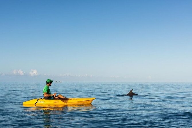 Guided Kayak 2 Hours Activity with Dolphins - Why the 6:20 a.m. start matters