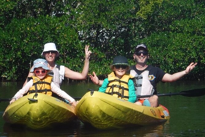 Guided Kayak Dolphin Eco Tour in Pelican Bay - Key points before you book