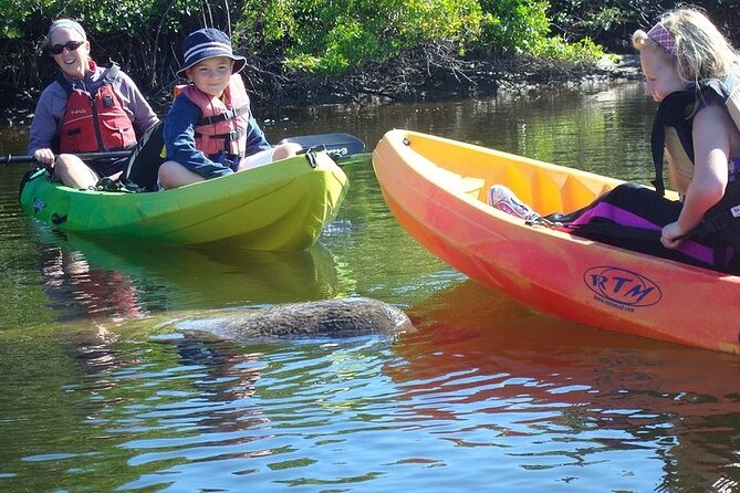 Guided Kayak Dolphin Eco Tour in Pelican Bay - Guides who shape the experience