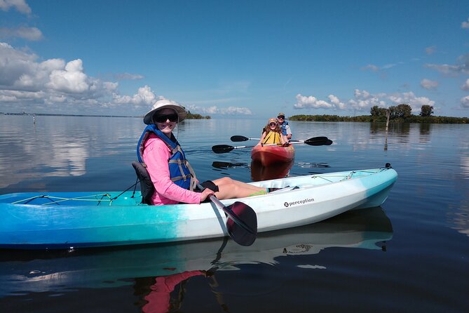 Guided Kayak Tour with Manatee & Dolphin Sightings - Your best chance to see manatees
