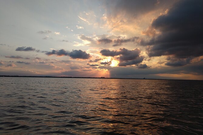 Guided Kayak Tour with Manatee & Dolphin Sightings - Dolphins, birds, and smaller creatures