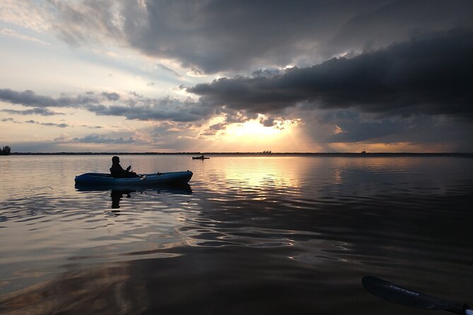 Guided Kayak Tour with Manatee & Dolphin Sightings - What the guide adds to the trip