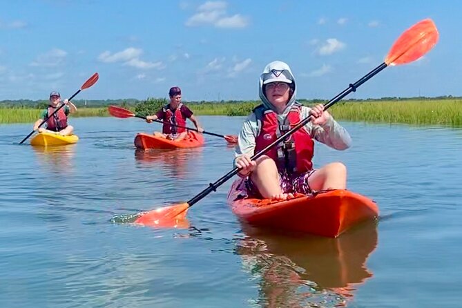 Guided Tour for Dolphin & Sea Turtle Observation in Saint Augustine, Florida - Why the small group matters