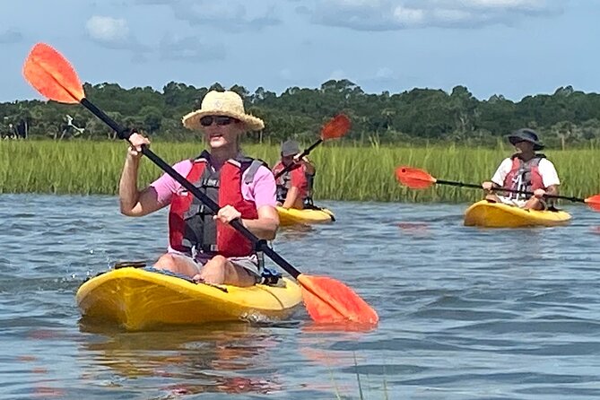 Guided Tour for Dolphin & Sea Turtle Observation in Saint Augustine, Florida - Is $50 a fair price?