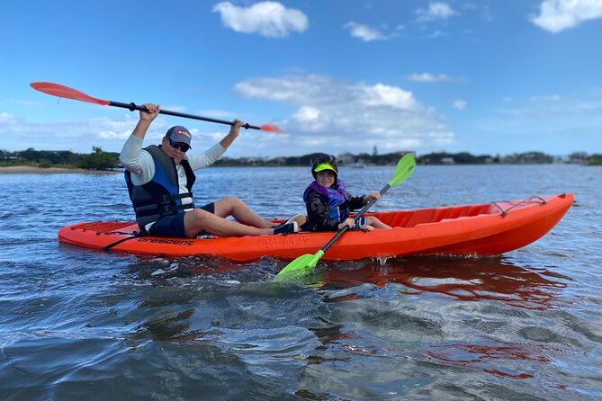 Guided Tour for Dolphin & Sea Turtle Observation in Saint Augustine, Florida - Who should book this St. Augustine kayak tour?