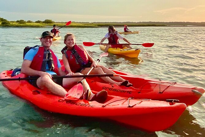 Guided Tour for Dolphin & Sea Turtle Observation in Saint Augustine, Florida - What you actually see on the water