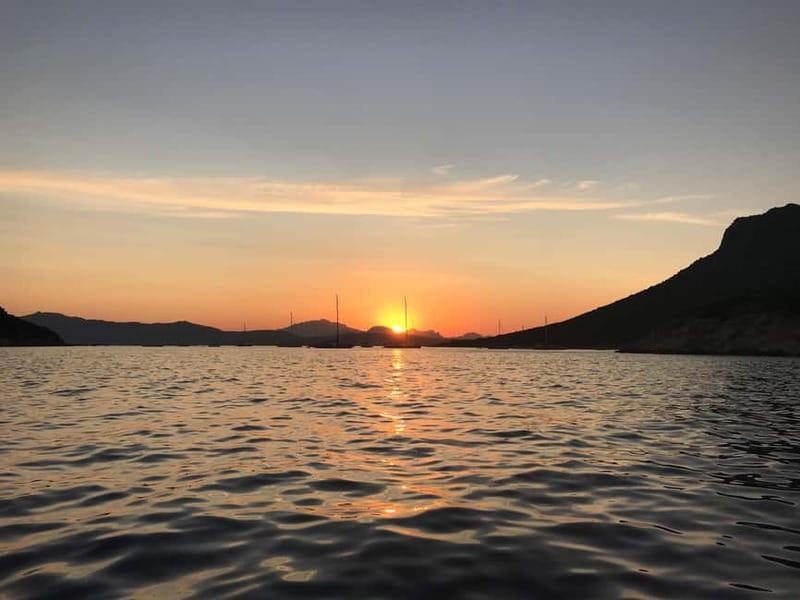 Gulf of Olbia: Dolphin watching by dinghy - Starting at Bados Beach near Olbia