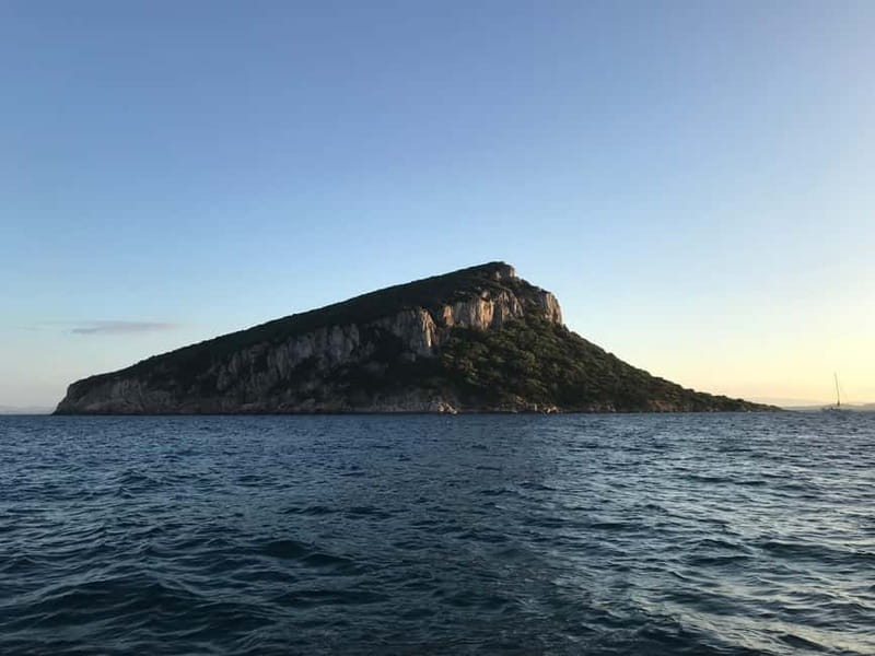 Gulf of Olbia: Dolphin watching by dinghy - Small-group comfort and the boat itself
