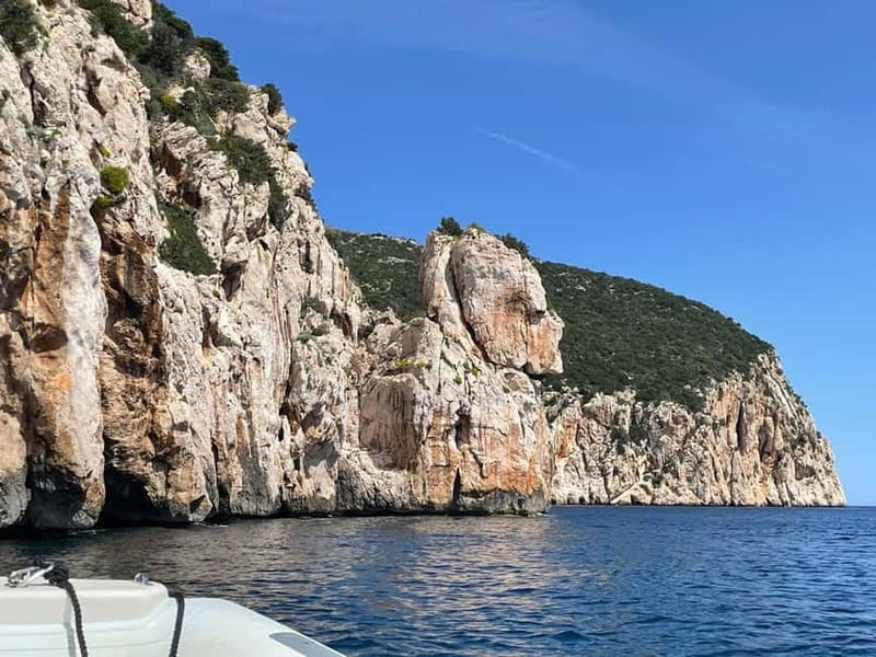 Gulf of Olbia: Dolphin watching by dinghy - Practical preparation for a smoother ride