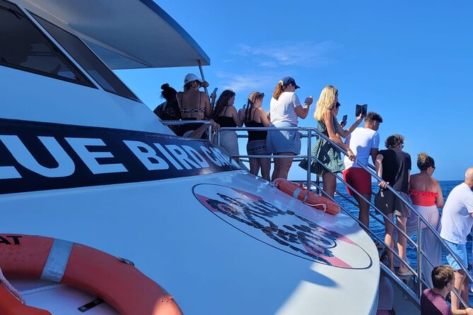 Half-Day Cruise Tour-Dolphin and Whale Watching - Setting sail from Puerto Rico Marina