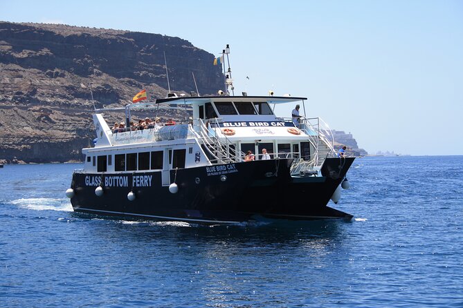 Half-Day Cruise Tour-Dolphin and Whale Watching - Boat comfort, crew service, and group size