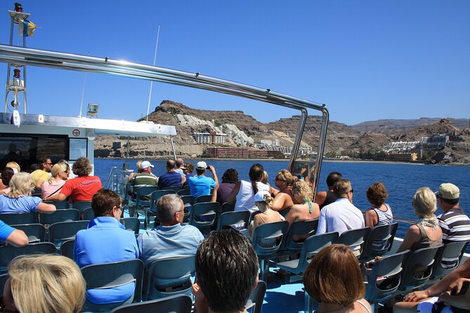 Half-Day Cruise Tour-Dolphin and Whale Watching - Shuttle pickup from Gran Canaria’s southern resorts