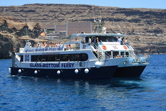 Half-Day Cruise Tour-Dolphin and Whale Watching - Who will enjoy this cruise most?