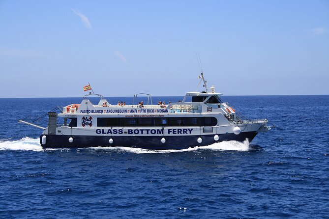 Half-Day Cruise Tour-Dolphin and Whale Watching - My practical verdict