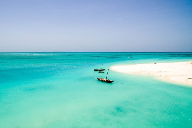 Half-Day Dolphin & Snorkeling Tour in Mnemba Island Zanzibar - What to expect around Matemwe Beach