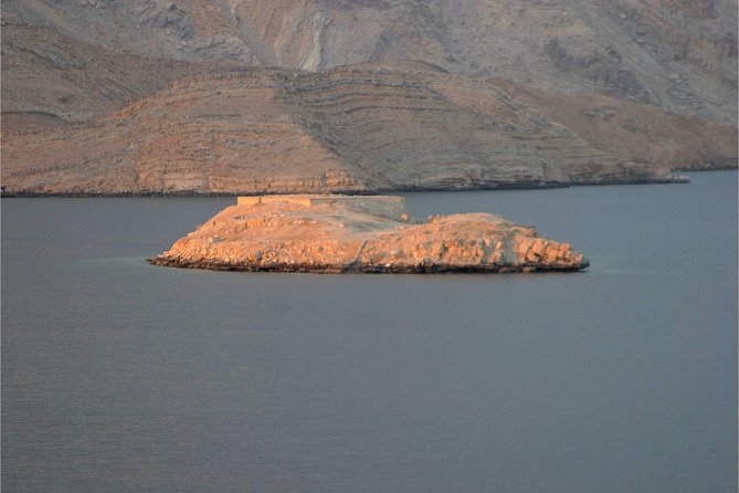 Half Day Dolphin Watching Musandam Dhow Cruise - Is $55 a fair price?