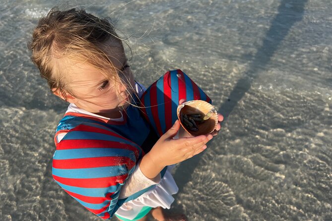 Half Day Eco and Dolphin Boat Tour in Siesta Key - Casey Key and the Blackburn Point Bridge