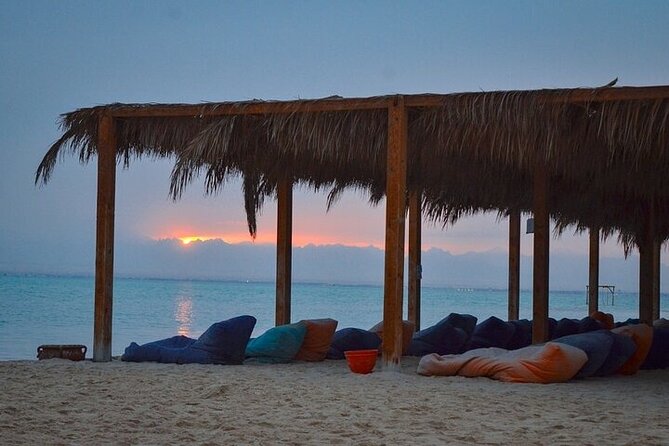 Half Day Private Speedboat Dolphin House & Giftun Island_Hurghada - Is $58.57 per person good value?