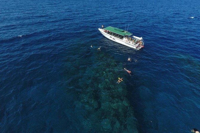 Half Day Snorkel to Lanai from Kaanapali Beach + Dolphin Search - Why Lanai makes a better target than another Maui morning