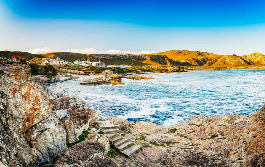 Hermanus: Whale and Dolphin Watching Boat Trip - Searching Walker Bay for whales, dolphins, and seals