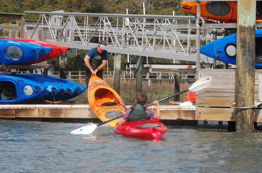 Hilton Head: 2-Hour Kayak Dolphin Nature Tour - Key Points Before You Paddle
