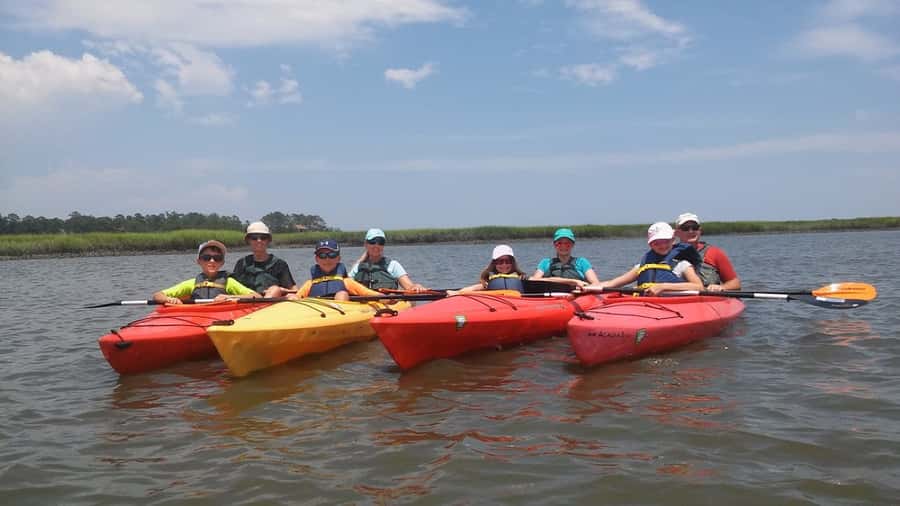 Hilton Head: 2-Hour Kayak Dolphin Nature Tour - Birds, Bald Eagles, and Other Wildlife
