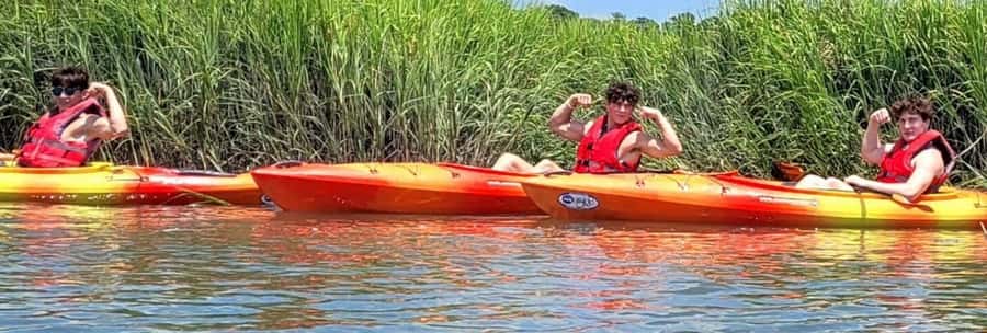 Hilton Head: 2-Hour Kayak Dolphin Nature Tour - What the Guides Add
