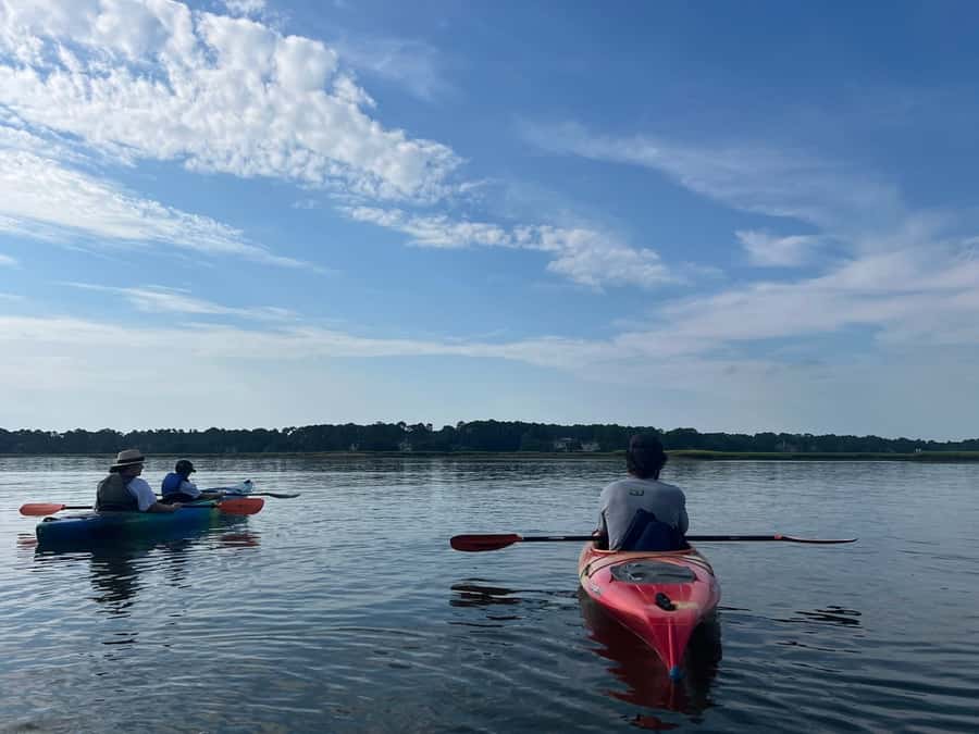 Hilton Head: 2-Hour Kayak Dolphin Nature Tour - Morning Calm or Evening Light