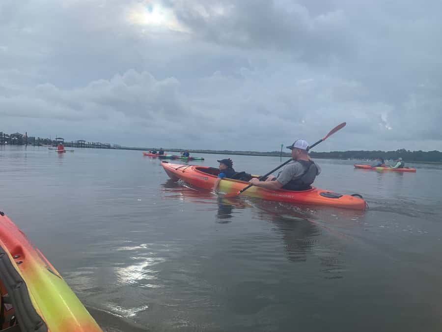Hilton Head: 2-Hour Kayak Dolphin Nature Tour - What $47 Per Person Buys You