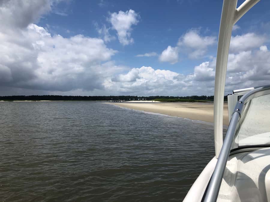 Hilton Head: 2 Hour Private Dolphin Tour - Who will enjoy this boat trip most?