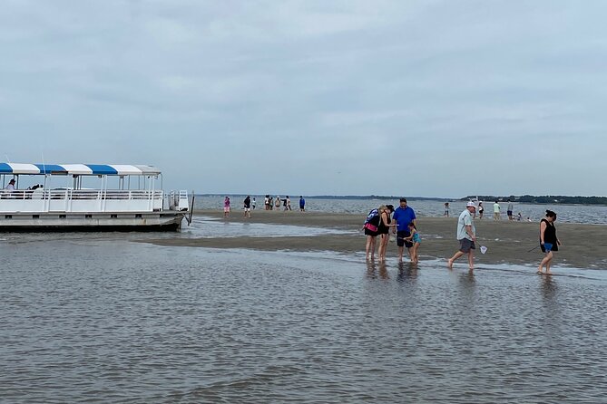 Hilton Head Dolphin Tour with Stop at Disappearing Island - How the Tour Works for Children and Adults