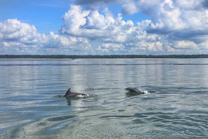 Hilton Head Dolphin Tour with Stop at Disappearing Island - Comfort, Safety, and Physical Requirements