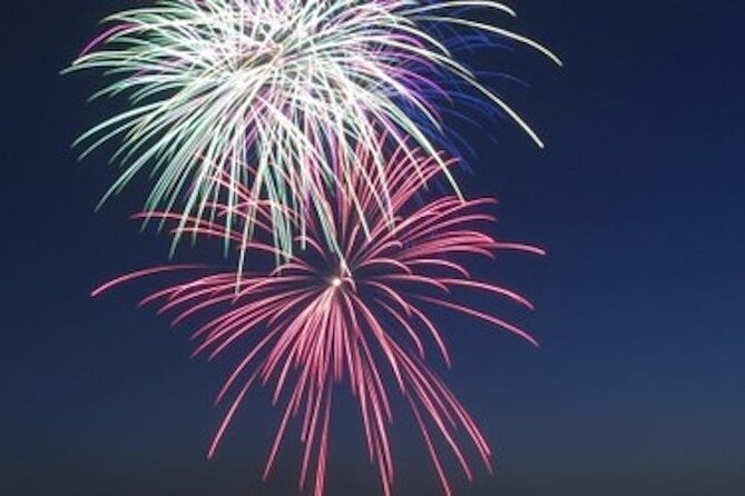 Hilton Head Dolphin Watching Cruise with Fireworks Display - Watching fireworks from the water