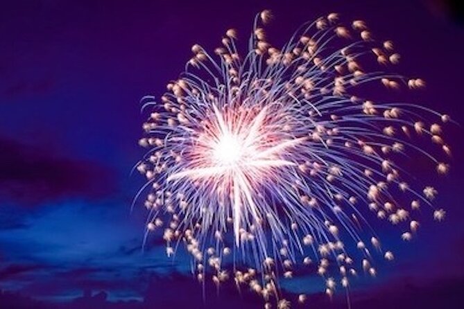 Hilton Head Dolphin Watching Cruise with Fireworks Display - What the $59.99 price includes
