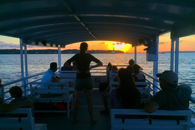 Hilton Head Dolphin Watching Cruise with Fireworks Display - Comfort, restrooms, and useful planning tips