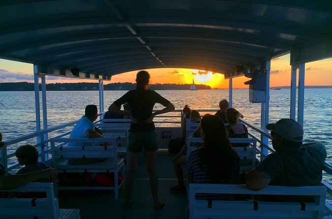 Hilton Head Dolphin Watching Cruise with Fireworks Display - Who will enjoy this Hilton Head cruise most