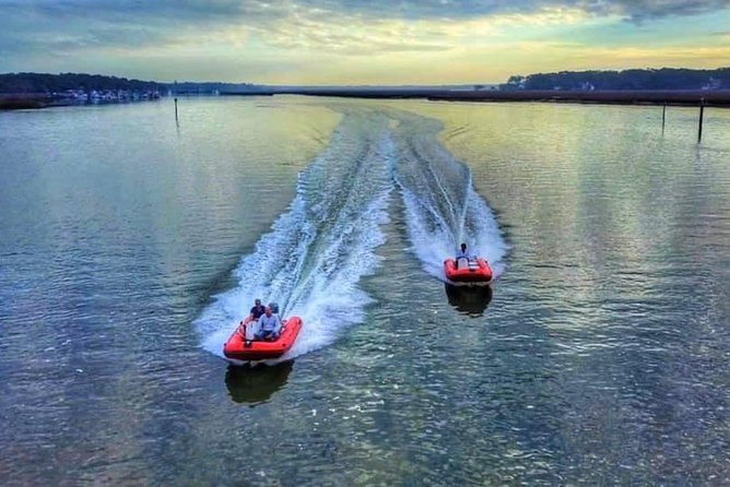 Hilton Head Guided Dolphin Watching & Sightseeing Tour via Mini Boat - Key points to know before you book