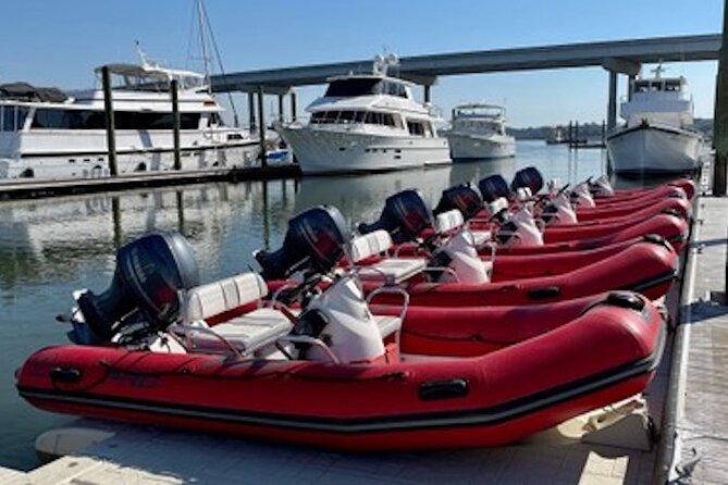 Hilton Head Guided Dolphin Watching & Sightseeing Tour via Mini Boat - Why this mini boat tour feels different
