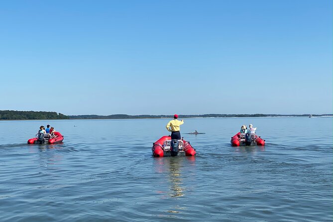 Hilton Head Guided Dolphin Watching & Sightseeing Tour via Mini Boat - Beaches, golf, and the changing shoreline