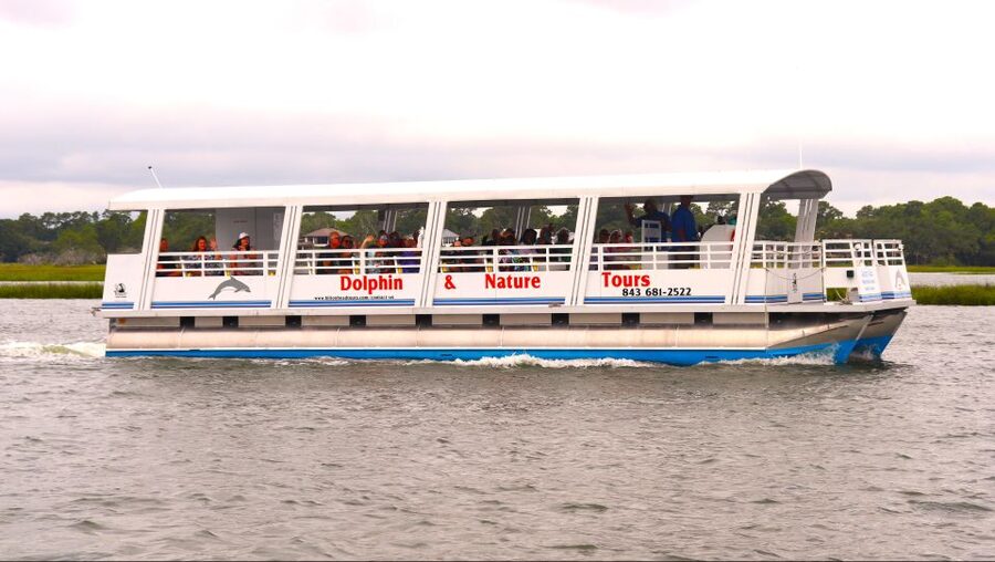 Hilton Head Island: 90-Minute Dolphin & Nature Tour - A 90-minute introduction to Broad Creek