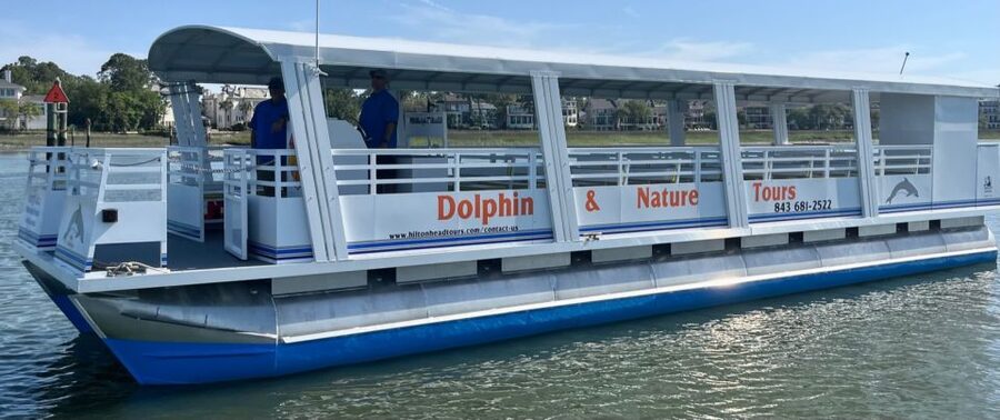 Hilton Head Island: 90-Minute Dolphin & Nature Tour - Watching Bottlenose dolphins in their own waters
