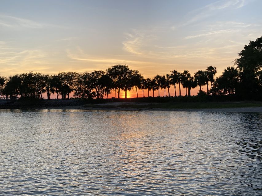 Hilton Head Island: 90-Minute Dolphin & Nature Tour - Shorebirds, marine life, and the wider creek