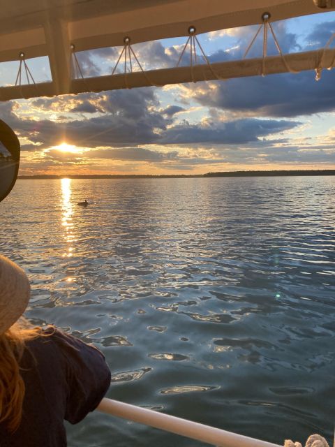 Hilton Head Island: 90-Minute Dolphin & Nature Tour - The limits you should consider