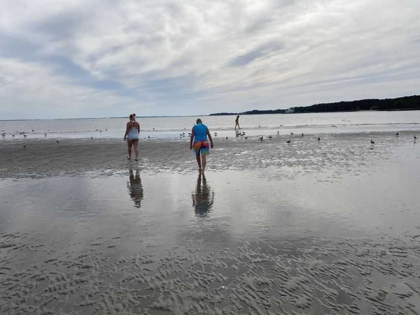 Hilton Head Island: Disappearing Island and Dolphin Tour - Is $55 a Fair Price?