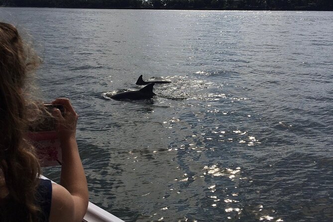 Hilton Head Island Dolphin Boat Cruise - Timing, weather, and cancellation rules