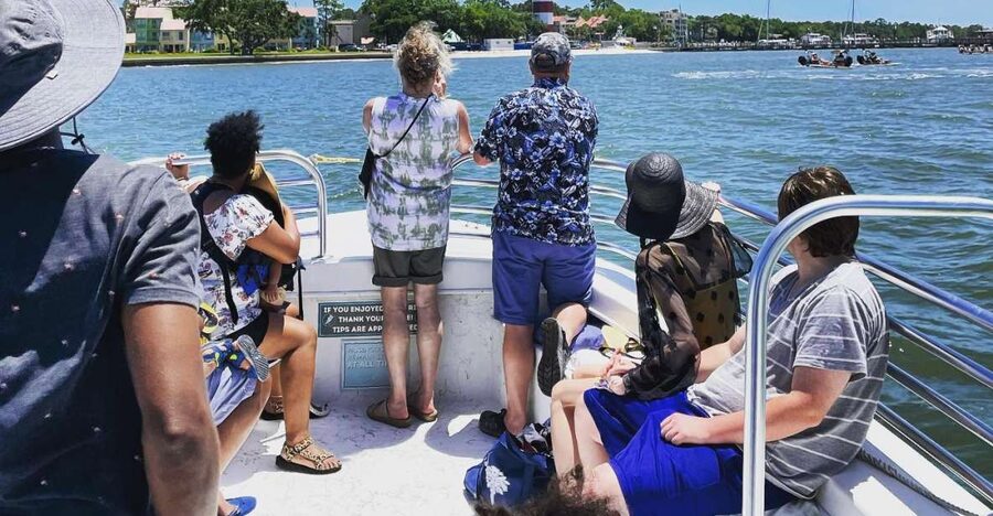 Hilton Head Island: Dolphin Cruise & Nature Tour - Heat, wind, seating, and what to bring