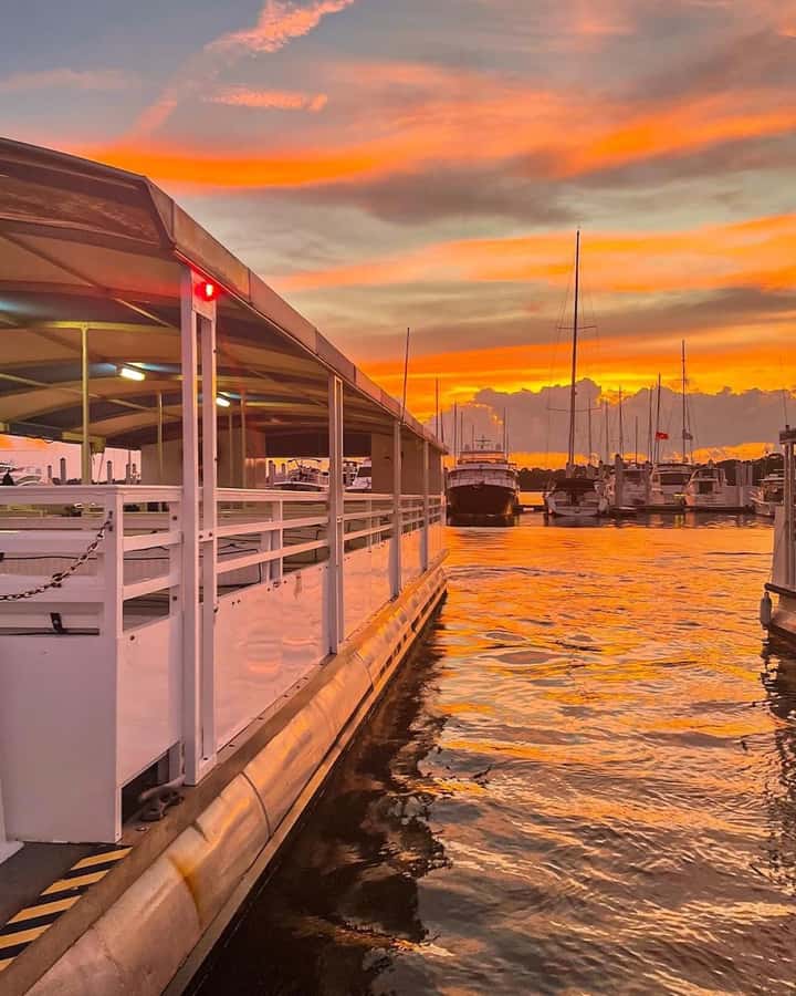 Hilton Head Island: Dolphin Tour at Sunset & Fireworks Show - Key points at a glance