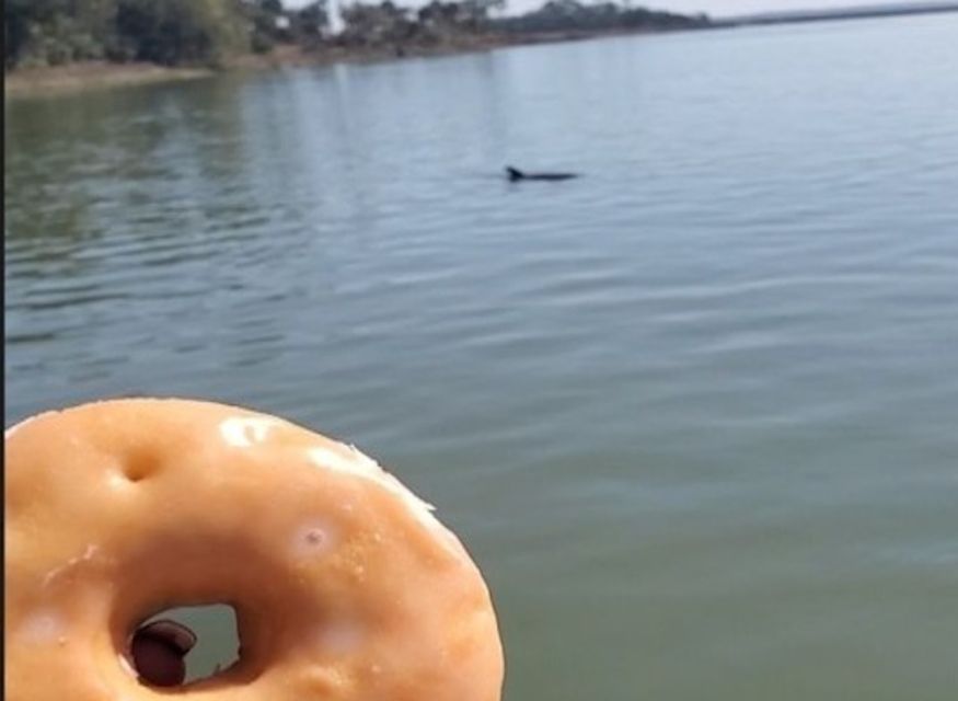 Hilton Head Island: Dolphin Watching Cruise with Donuts - Starting at Lowcountry Watersports