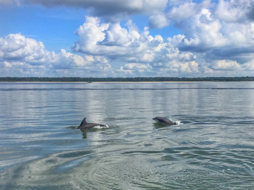 Hilton Head Island: Dolphin Watching Cruise with Donuts - Fresh donuts change the mood