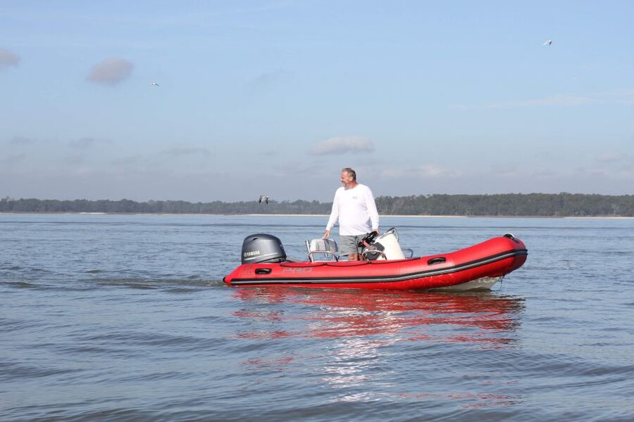 Hilton Head Island: Mini Boat Dolphin Tour - Key points to know before you book